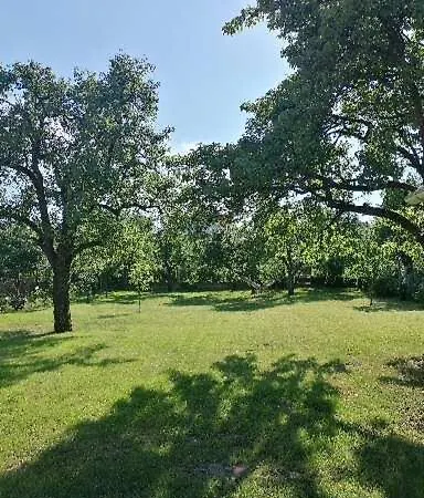 Csendülő Apartman *